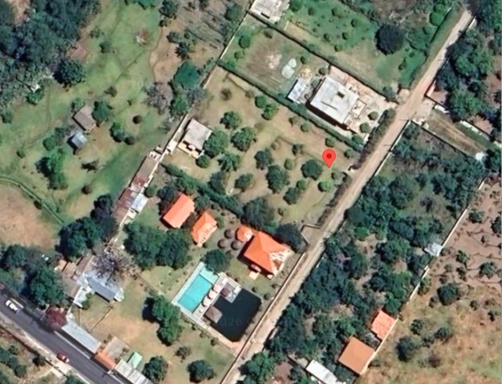 Imagen 4